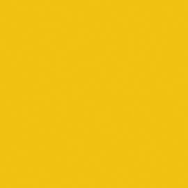 Olympia Yellow Sample